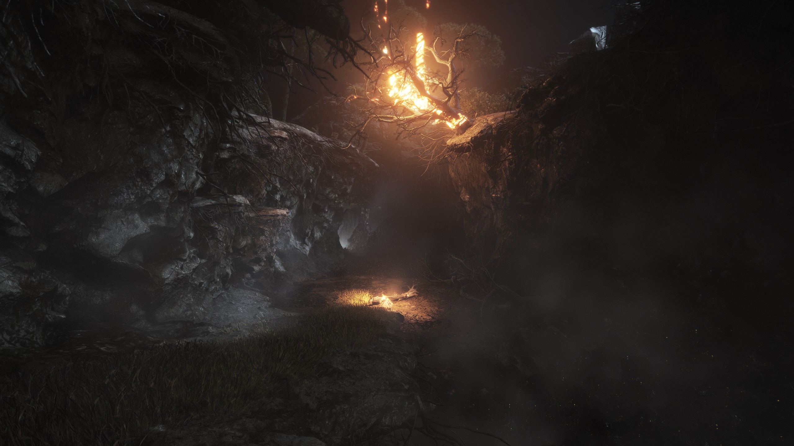 A Plague Tale: Requiem photo mode screenshot 38